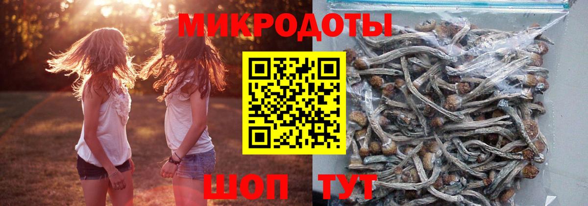 Галлюциногенные грибы Psilocybe  Вход с VPN  Псилоцибиновые грибы Psilocybe  Железноводск 